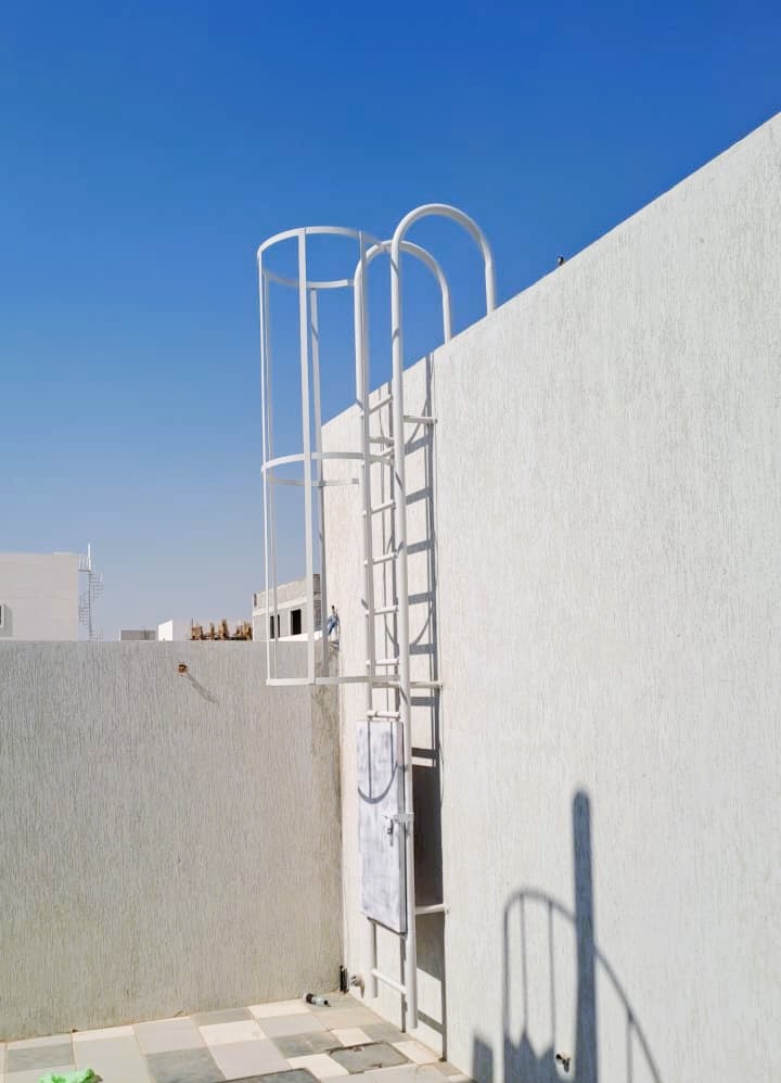 Cat Ladder in UAE